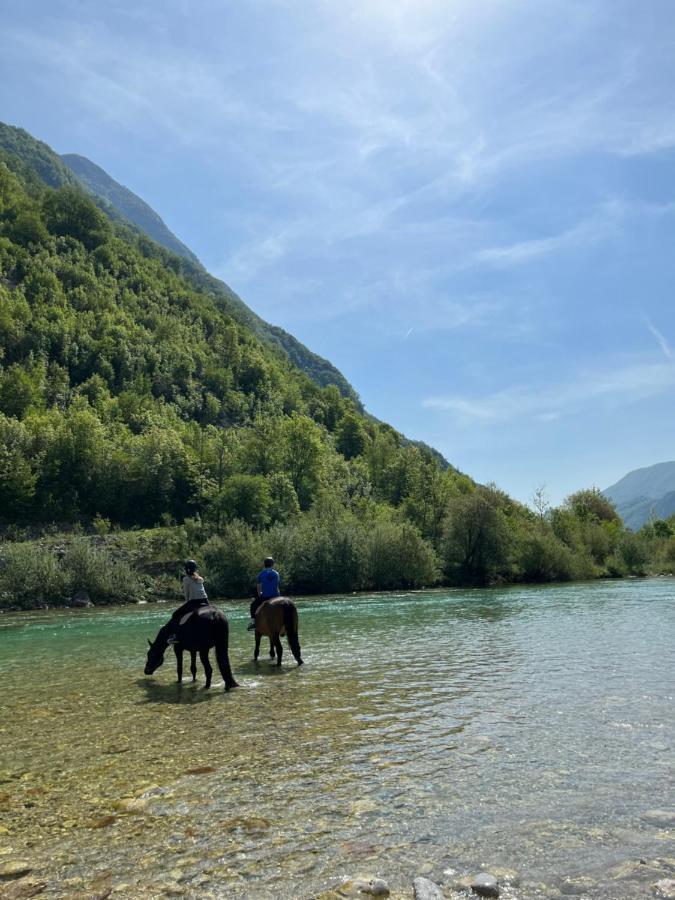 Apartment Baban In Zaga, Slovenia ภายนอก รูปภาพ