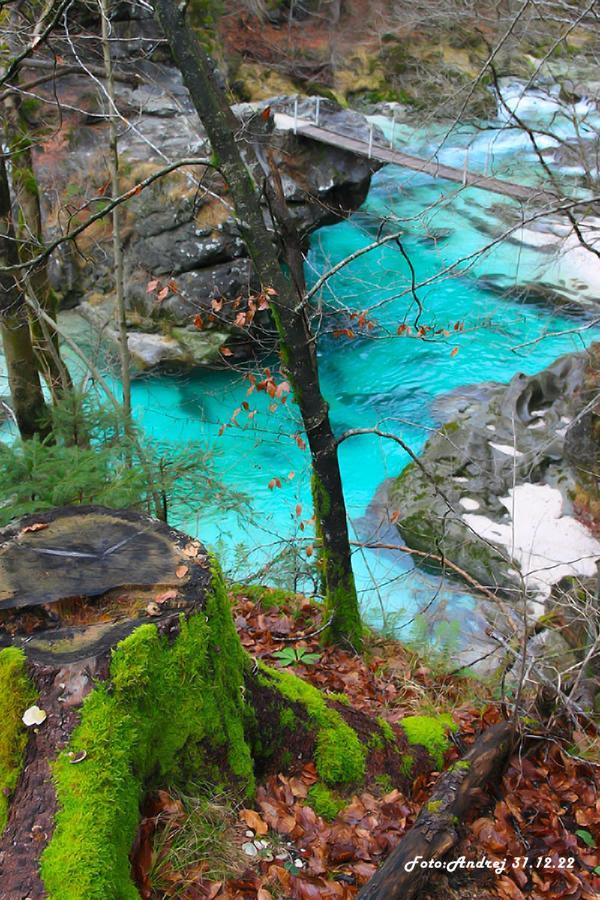 Apartment Baban In Zaga, Slovenia ภายนอก รูปภาพ